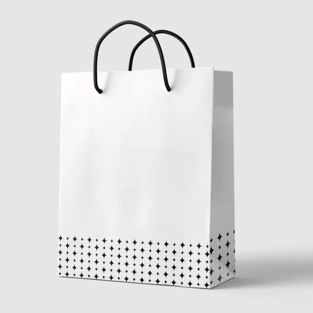 Custom Paper Bags Wholesale: MOQ, Pricing &amp; Printing (2026) blog post thumbnail